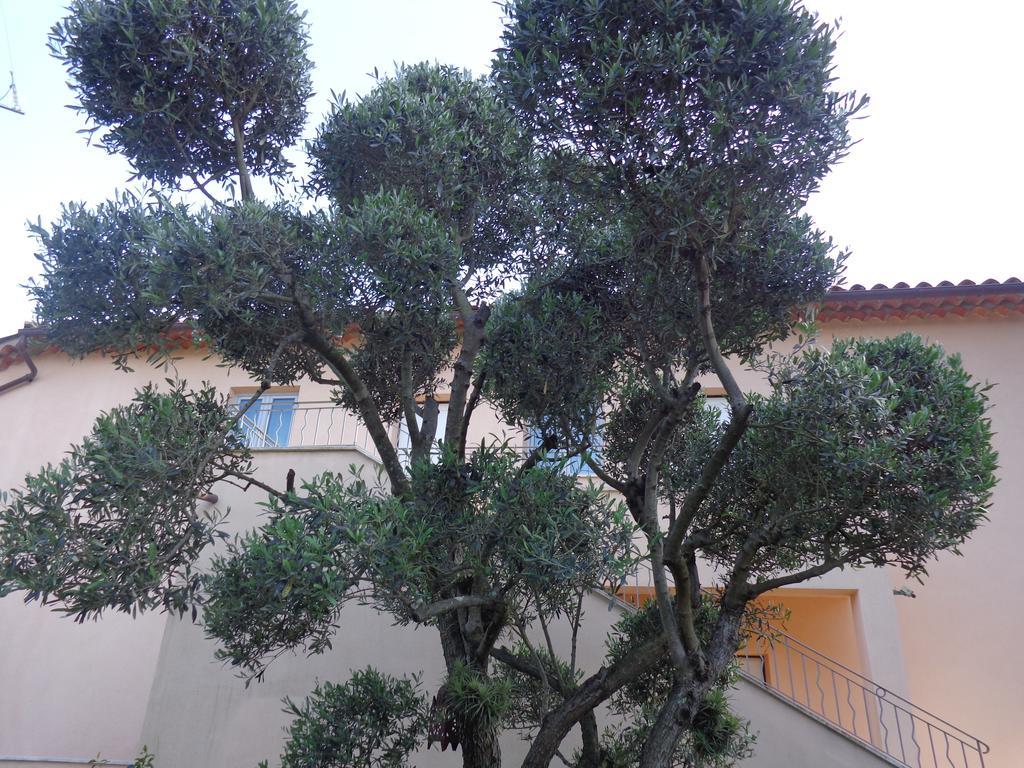 Appartement Villa Angelina Grimaud Exterior foto